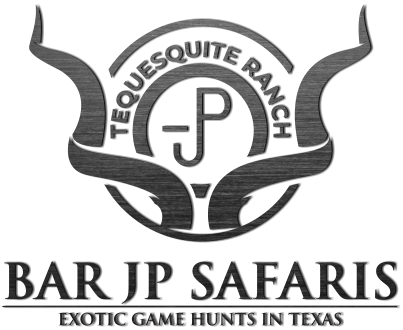 Bar JP Safaris Texas Exotic Game Hunting